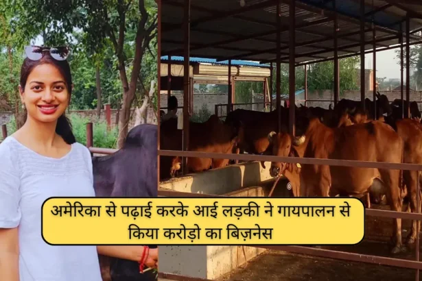 Desi Cow Dairy Farm: अमेरिका से पढ़ाई करके आई लड़की ने गायपालन से किया करोड़ो का बिज़नेस 11 Desi Cow Dairy Farm