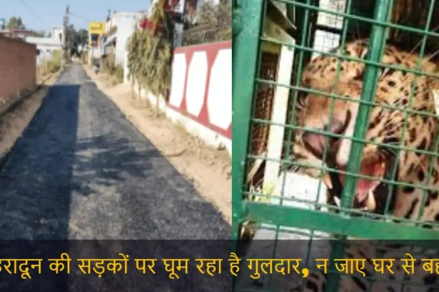 Uttarakhand Dehradun Guldar News